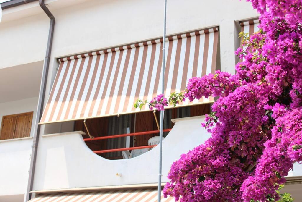 Roma A Un Passo E Il Mare In Casa Apartment Marina di Cerveteri Luaran gambar